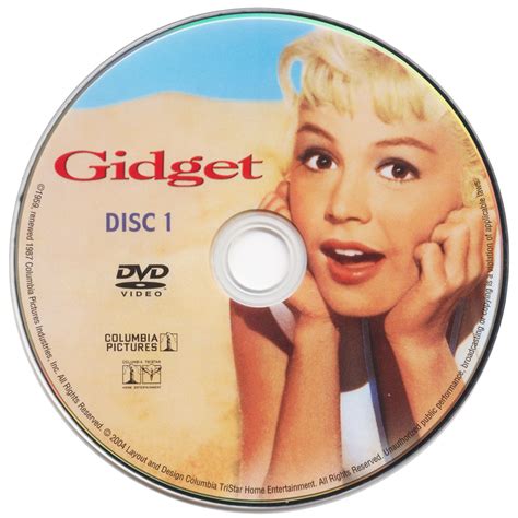 COVERS BOX SK Gidget The Complete Collection High Quality DVD