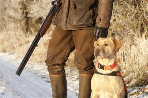 Maybe you would like to learn more about one of these? Challenging the Use of GPS Tracking Devices on Hunting ...