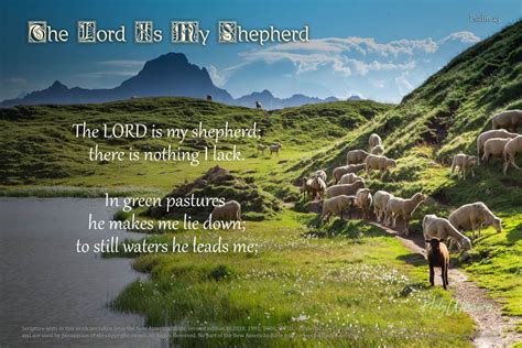 Psalm The Lord Is My Shepherd Holyword Com