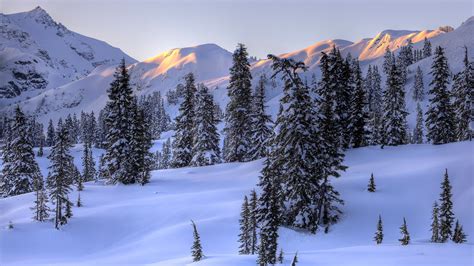 Papel De Parede Inverno Montanhas Neve Árvores 1920x1080