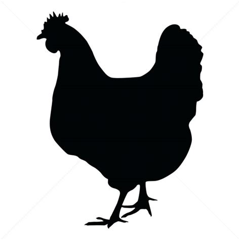 Download Chicken Outline | Free download on ClipArtMag