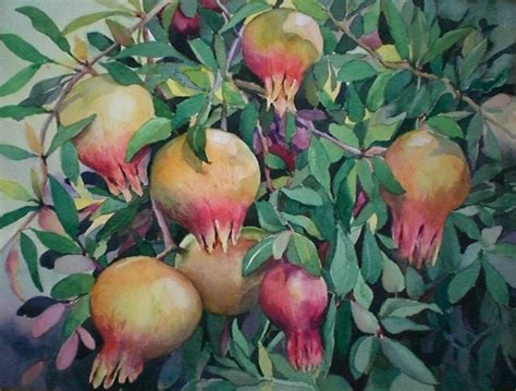 Catherine McCargar Watercolor Painter Golden Pomegranates