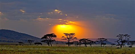 29 Acre Land For Sale In Kajiado Kenya
