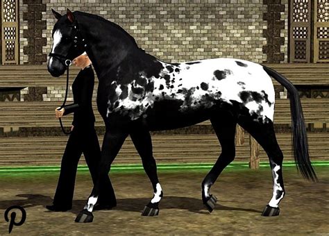 The Appaloosa Horse Is An Ancient Breed Depicted In Cave Paintings As