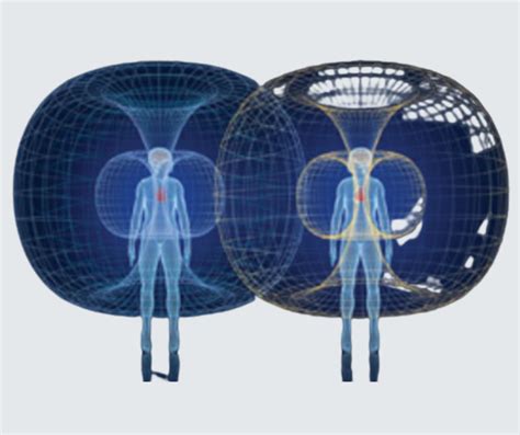 Tuning The Human Biofield Images By Christina Rose