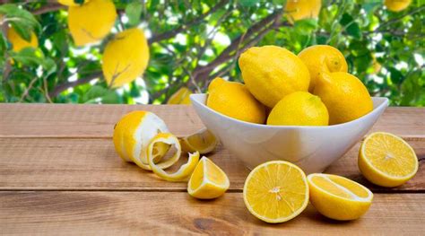 Lemons Were Status Symbol In Ancient Rome The Indian Express