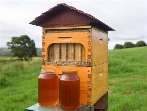 Flow Hive Puts Honey On Tap Directly From The Beehive Beefarm