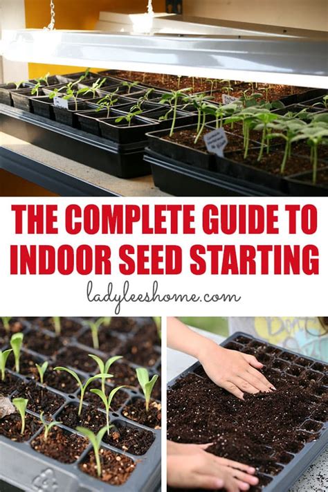 The Complete Guide To Indoor Seed Starting Lady Lees Home