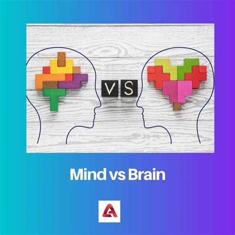 Mind Vs Brain Difference And Comparison