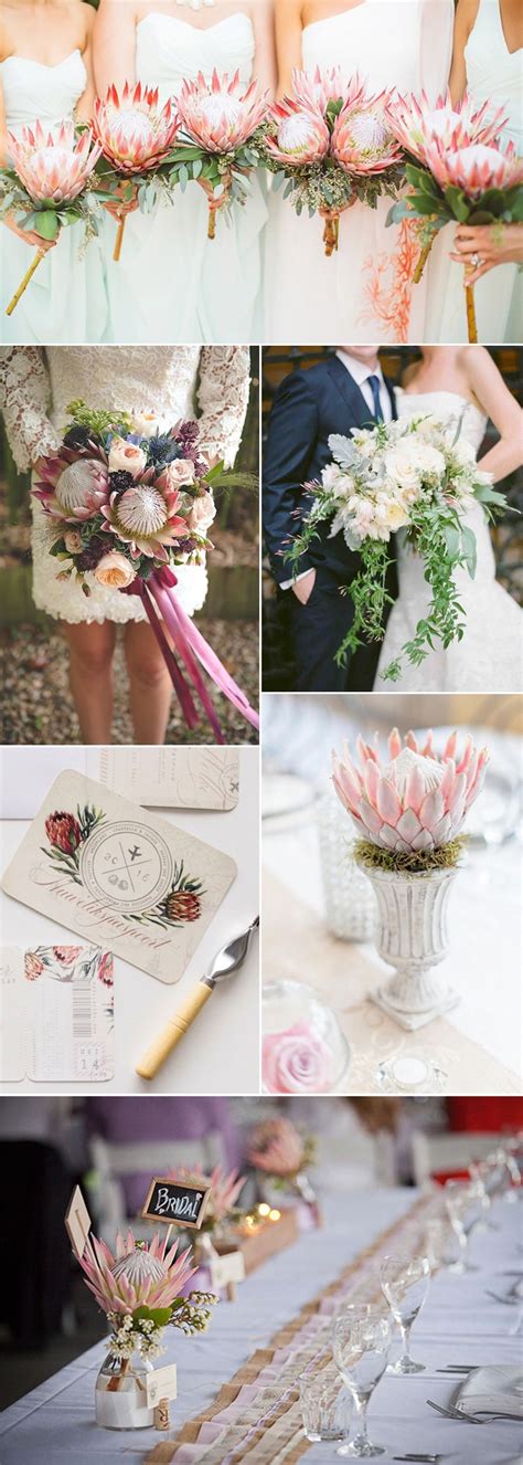 Perfect Protea Wedding Flower Ideas Protea Wedding Wedding Flowers