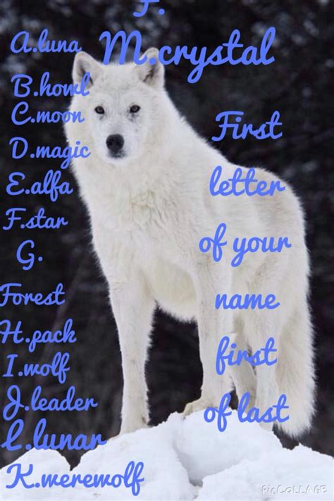 What Is Your Wolf Name