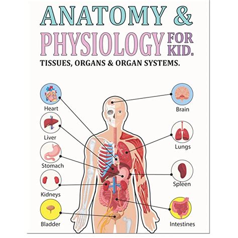 Buy Anatomy And Physiology For Kids • A Scientists Guide To How Do