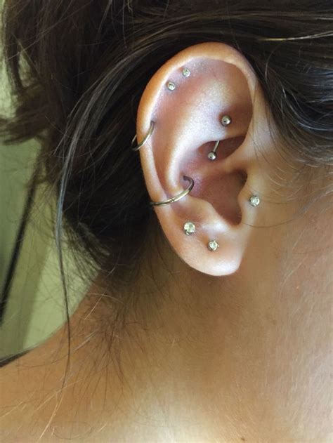 Ear Piercings Rook Conch Tragus Cartilage Pretty Ear Piercings