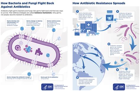 How Antimicrobial Resistance Happens — Science Learning Hub