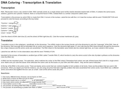Detective worksheet answer key reflection across the y axis. 26 Dna Coloring Transcription And Translation Worksheet ...