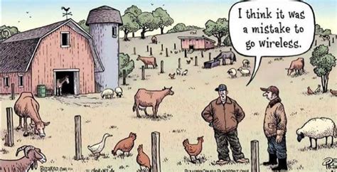 I Think It Was A Mistake To Go Wireless Farm Humor Funny Pictures