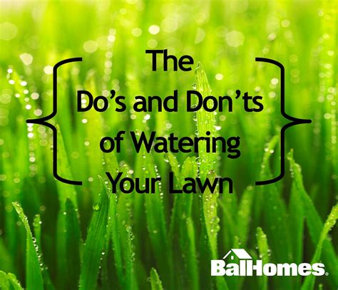 Every yard is different though. Watering Your Lawn: The Do's and Don'ts