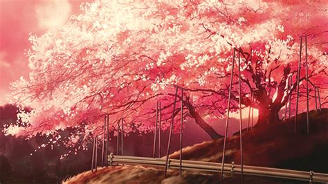 43 Anime Scenery Wallpaper Wallpapersafari