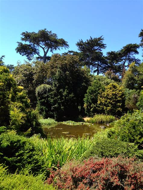 Its current collection includes 51 species and 33 cultivars including many prized examples from asia.' The Lents Farmer: San Francisco Botanical Garden