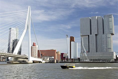 Erasmus Bridge Rotterdam Majestic Road Over The Maas River