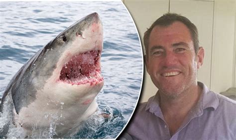 great white shark attack victim