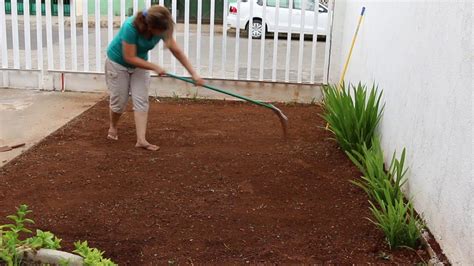 Jardinería Como Sembrar Pasto O Zacate Nuevo Hazlo En Forma Práctica