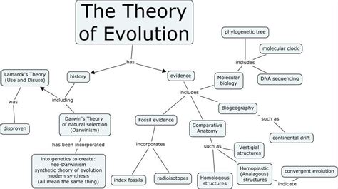 Della 👩🏼‍🔬🔬 On Twitter Evolution Concept Map Theory Of Evolution