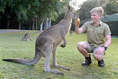 Your Guide To Exploring Australia Zoo On The Sunshine Coast Queensland