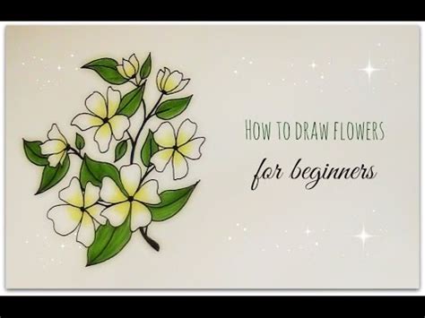 Maybe you would like to learn more about one of these? how to draw flowers - jasmine flower for beginners - YouTube