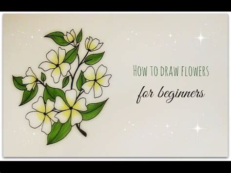 Here is a list of 40 easy drawing ideas for beginners: how to draw flowers - jasmine flower for beginners - YouTube