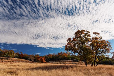 Rolling Hills Of The Texas Hill Country In The Fall Fredericksburg