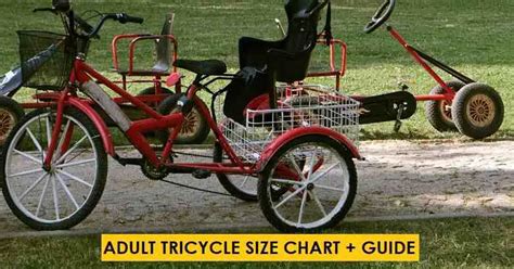 Adult Sized Tricycle What Size Do I Need Chart Guide