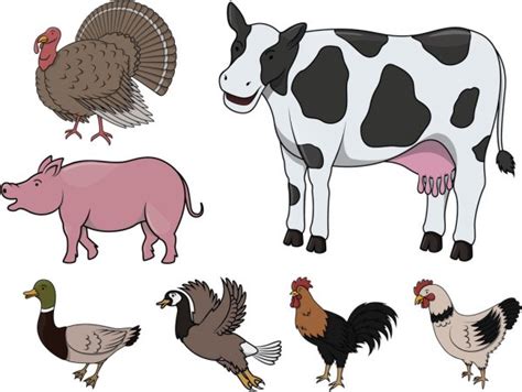 Cartoon Set Of Farm Animals — Stock Vector © Antonbrand 8055075