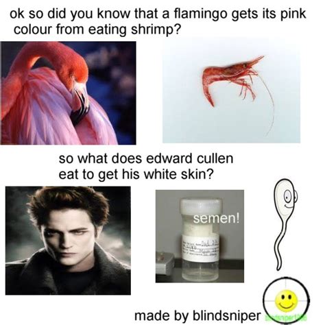 Flamingo Pictures And Jokes Funny Pictures And Best Jokes