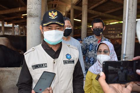 Penjualan Hewan Kurban Di Lamongan Meningkat Ditengah PPKM Darurat