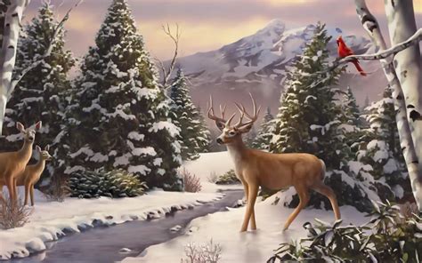 38 Winter Deer Wallpaper Backgrounds Wallpapersafari