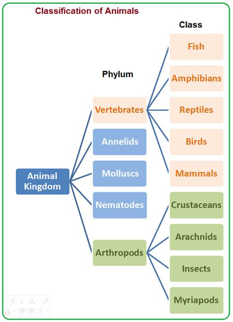 4 Animal Kingdom Classification Biology Notes For Igcse 2014