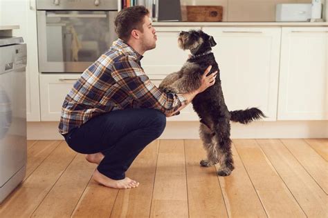 No estás loca Estudio afirma que las personas que hablan con sus mascotas son más inteligentes