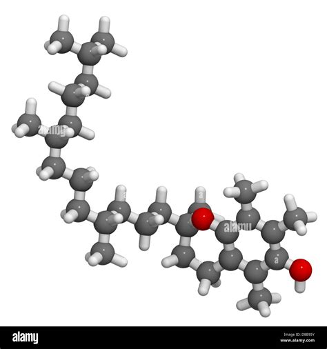 Vitamin E Alpha Tocopherol Molecular Model Atoms Are Represented As