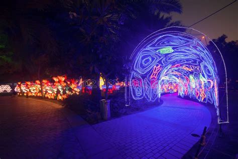 Illumination Lighting Arrangement In Dubai Garden Glow Editorial Photo