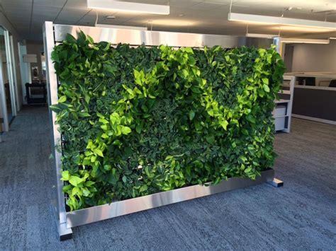 Green Wall What Is It And How To Build One Your Vertical Garden