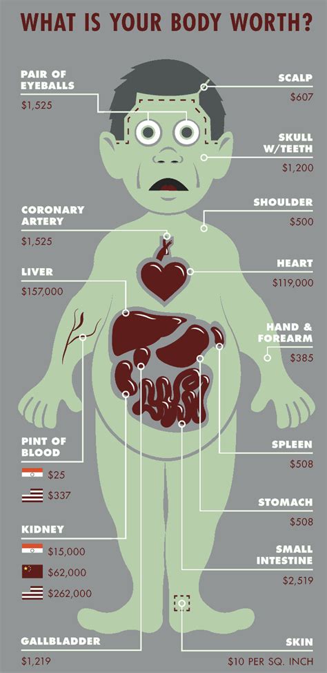 Heres How Much Body Parts Cost On The Black Market Gizmodo Australia