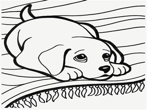 45 Anime Dog Coloring Pages Download Free Images Hot Coloring Pages