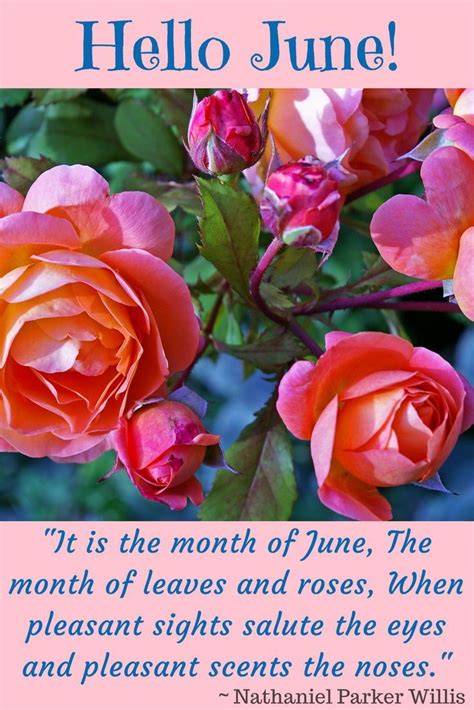Blog Ahanow June Quotes Happy New Month Quotes New Month Wishes