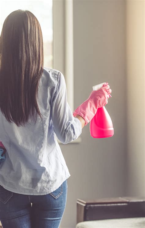 The Ultimate Guide To Keeping Your Home Clean And Fresh Like A Pro