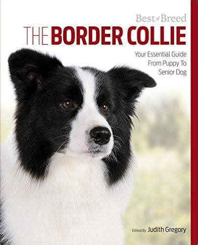 The Border Collie Essential Guide Border Collie Fan Club