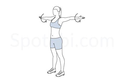 Arm Circles Illustrated Exercise Guide