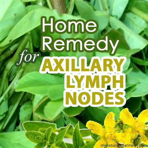Home Remedy For Swollen Axillary Lymph Nodes Axillarylymphnodes