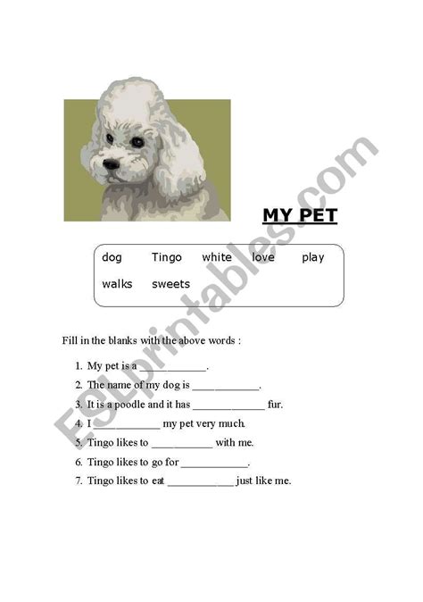English Worksheets My Pet