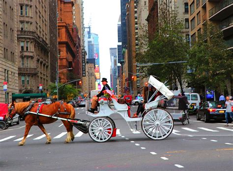New York City Horse Drawn Carriage Rides